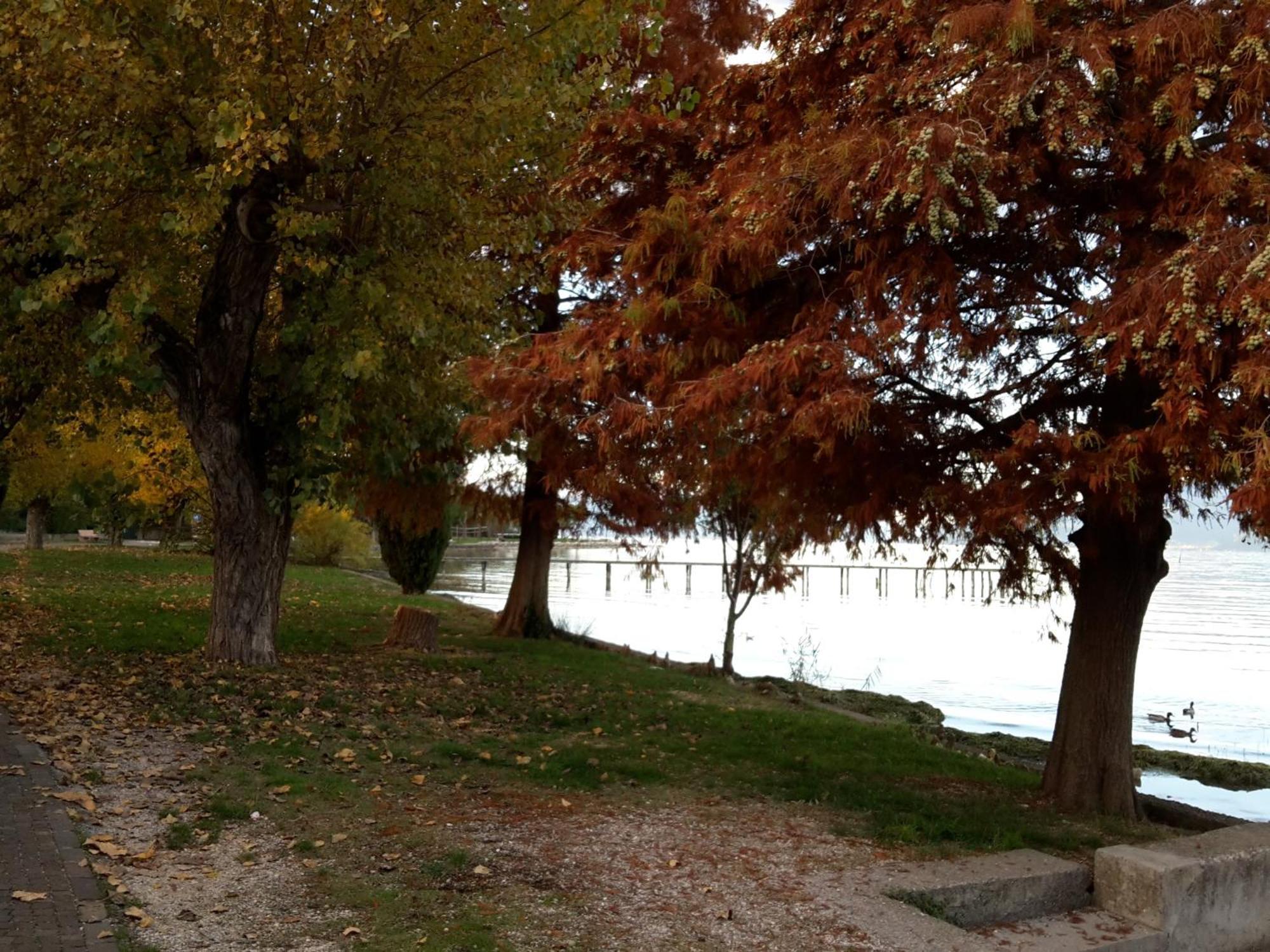 Casa Meda Rosa *